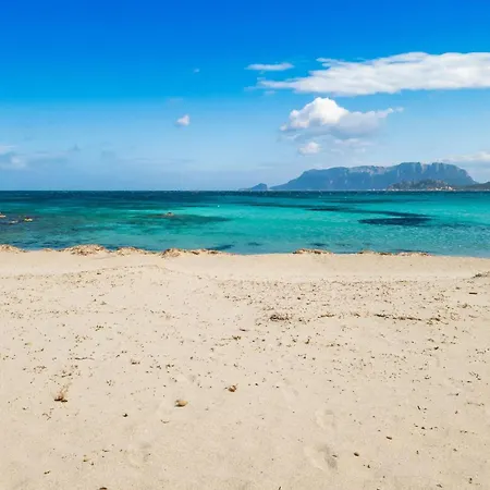 Dimora Di Rosy Pittulongu - Happy