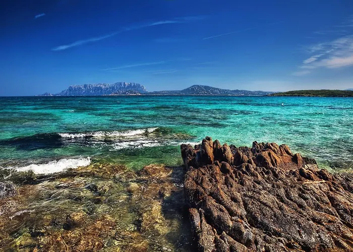 Apartamento Dimora Di Rosy Pittulongu - Happy